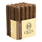 Oliva Seconds Lot CH Robusto Grande Cigars
